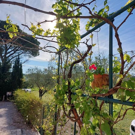 Vento E Mare Bed & Breakfast Riotorto Exterior photo